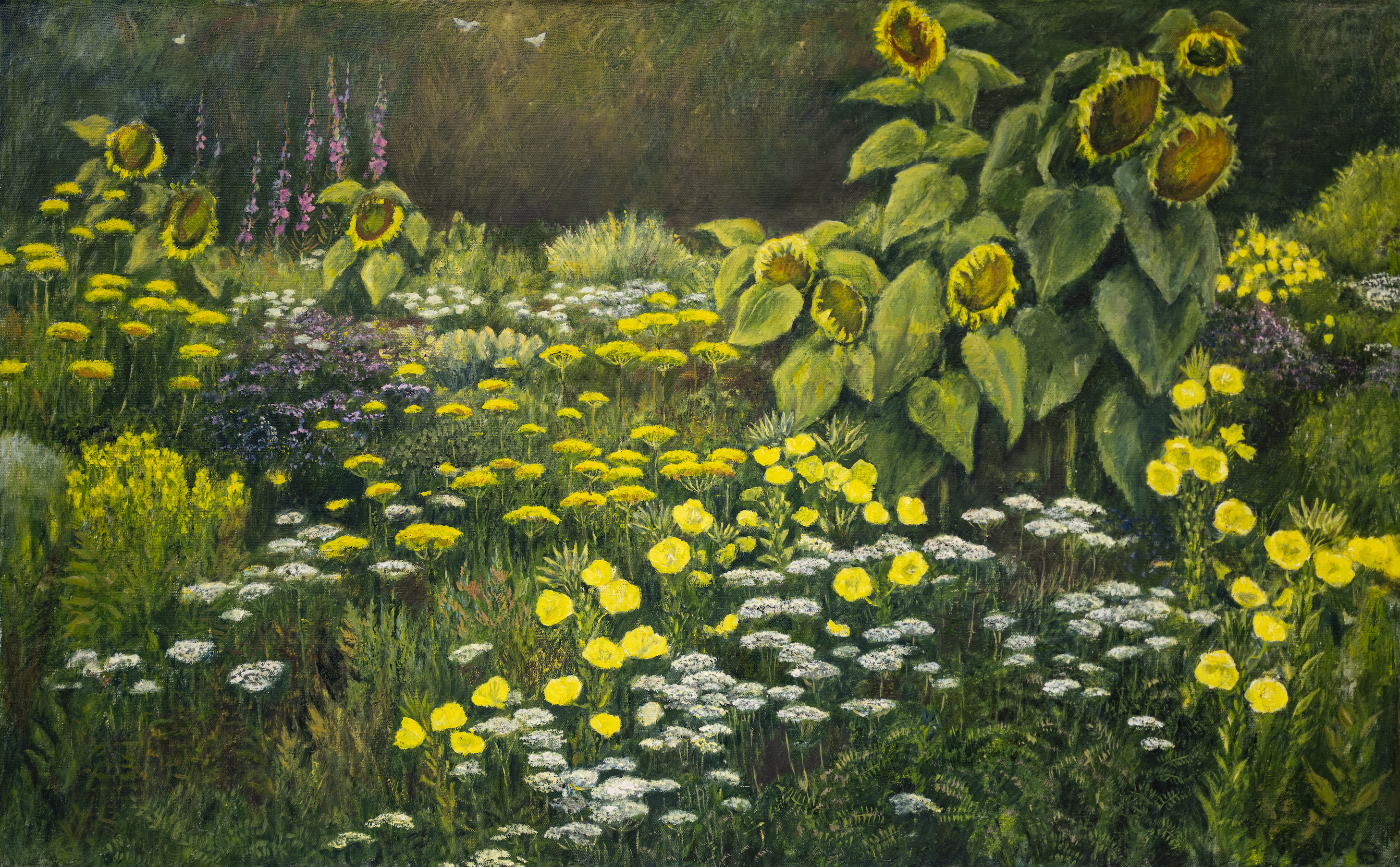 Bergmann Peter, Sonnenblumen in der Nacht, 1149, (bereits verkauft)