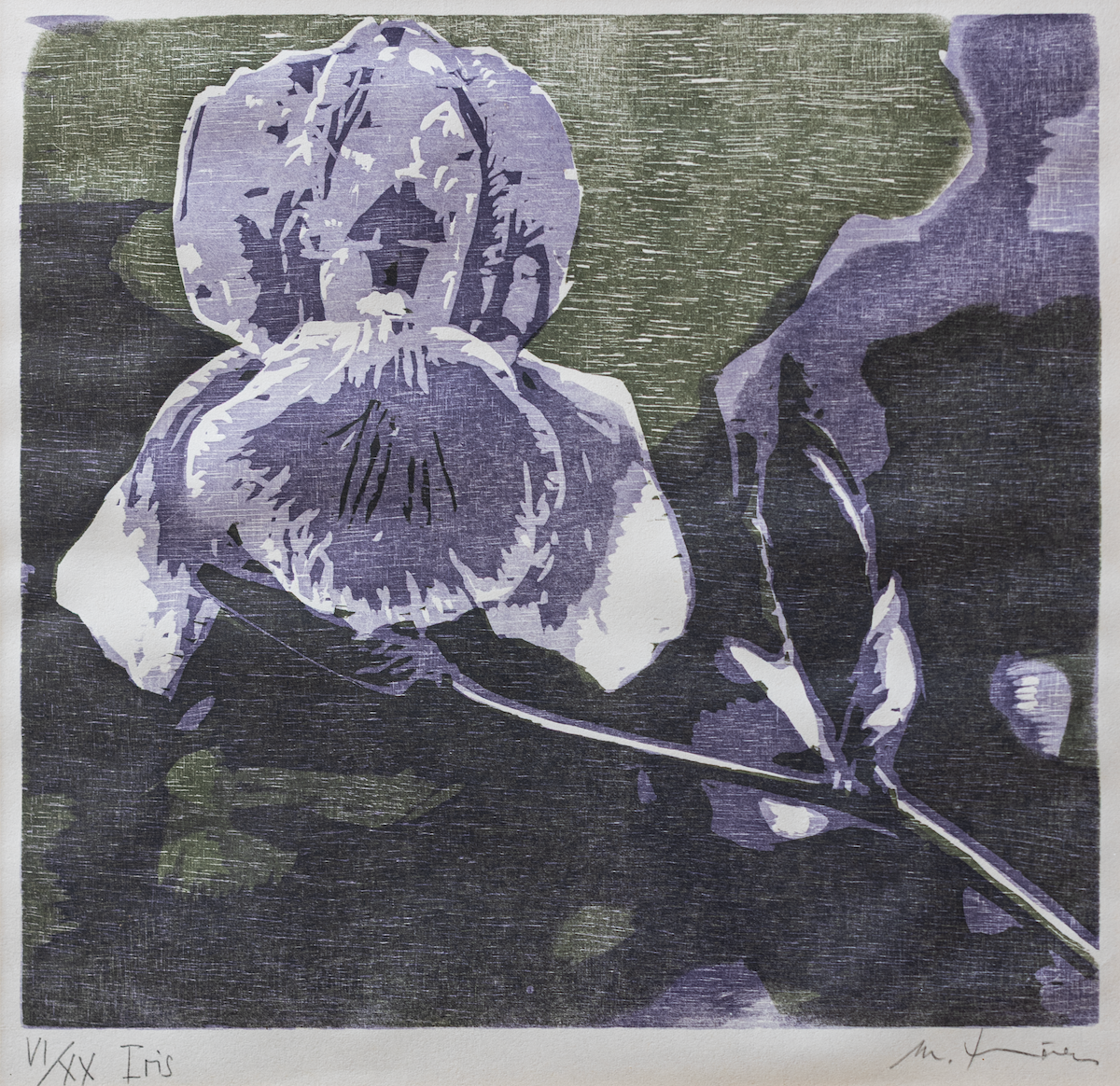 Thönen Martin, Lila Iris, 1206