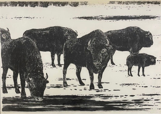 Bergmann Peter, «Bisons», (bereits verkauft)