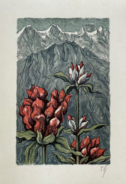 Diggelmann Alex Walter, «Purpur-Enzian vor Dreigestirn» (bereits verkauft)
